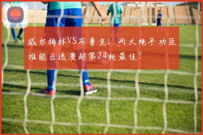 威尔梅林VS布鲁克:两大绝平功臣谁能当选澳超第24轮最佳?